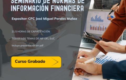 Seminario-de-NIF